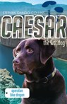 Caesar the War Dog 2: Operation Blue Dragon - Stephen Dando-Collins - 9780857980540