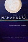 Essentials of Mahamudra - Khenchen Thrangu Rinpoche - 9780861718450