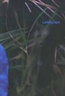 Landscape - GALLAGHER,  Ann ; Keillor, Patrick - 9780863554483