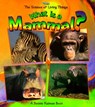 What Is a Mammal? - Bobbie Kalman - 9780865058903