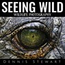 Seeing Wild - Dennis John Stewart - 9780875659084