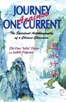 Journey against One Current - Julia Duan ; Judith Palpant - 9780878082735