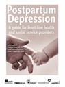 Postpartum Depression - Lori E. Ross ; Cindy-Lee Dennis ; Emma Robertson Blackmore - 9780888684851