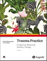 Trauma Practice - Anna B. Baranowsky ; J. Eric Gentry - 9780889375925