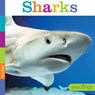 Sharks - Kate Riggs - 9780898128871