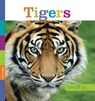 Tigers - RIGGS,  Kate - 9780898128895