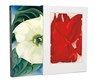 Georgia O'Keeffe: One Hundred Flowers - Georgia O'Keeffe - 9780935112177