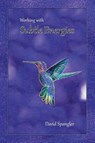 Working With Subtle Energies - David Spangler - 9780936878782