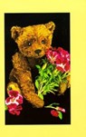 Teddy Bear Collector's Journal - GODDU,  Krystyna Poray - 9780942620252