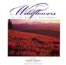 Wildflowers of the Pacific Northwest - Susan Lamb - 9780944197585
