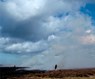 Setting the Fell on Fire - Allenheads Contemporary Arts - Tracey Warr ; David Butler ; Rob La Frenais - 9780955747830