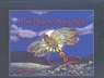 The Paper Dragonfly - WATSON,  Mary - 9780972661430