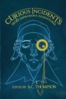 Curious Incidents - Melissa McArthur ; Susan Roddey - 9780984004294