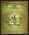 Spectropia, or Surprising Spectral Illusions Showing Ghosts Everywhere - J H Brown - 9780986239359