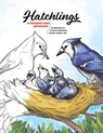 Hatchlings - Cordelia Norris ; Suzanne Matheson - 9780988188990