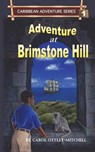 Adventure at Brimstone Hill - Carol Ottley-Mitchell - 9780990865933