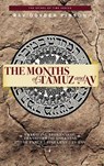 The Months of Tamuz and Av: Embracing Brokenness 17th of Tamuz, Tisha b'Av, & Tu b'Av - Dovber Pinson - 9780991472086