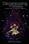 Decomposing The Shadow - James W Jesso - 9780991943500