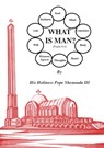 What is Man - H H Pope Shenouda - 9780995363434