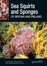 Sea Squirts and Sponges of Britain and Ireland - Sarah Bowen ; Claire Goodwin ; David Kipling ; Bernard Picton - 9780995567382