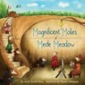 Magnificent Moles of Mede Meadow - PERRY,  Anne Gordon - 9780998425603