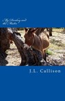 My Donkey and the Master: A Short Story of Sanctified Imagination - J. L. Callison - 9780998777115