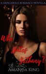 Who Hates Bethany? - Amanda King - 9781005761851