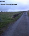Picnic - Jimmy Boom Semtex - 9781005880224
