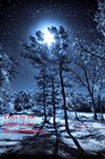 Tales by the Light of the Moon Shadows - Tim Conley - 9781005943356