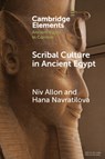 Scribal Culture in Ancient Egypt - Niv (The Metropolitan Museum of Art) Allon ; Hana (University of Oxford and University of Reading) Navratilova - 9781009074537