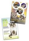 Helping Young Children to Understand Domestic Abuse and Coercive Control - Catherine Lawler ; Norma Howes - 9781032072555