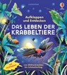 Aufklappen und Entdecken: Das Leben der Krabbeltiere - Minna Lacey - 9781035705276