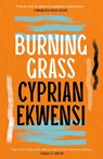 Burning Grass - Cyprian Ekwensi - 9781035906017