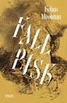 Fall Risk - Kobus Moolman - 9781037007842
