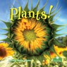 Plants! - Tracy Nelson Maurer - 9781039600409