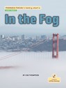 In the Fog - Kim Thompson - 9781039845114