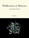 Wilderness of Mirrors - Olufemi Terry - 9781068433856