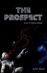 The Prospect - B. C. Brown - 9781068627705