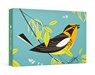 Charley Harper: Blackburnian Warbler Small Boxed Cards -  - 9781087503820