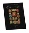 Ernst Haeckel: Art Forms in Nature Coloring Book -  - 9781087507446