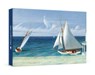 Edward Hopper: The Lee Shore Small Boxed Cards -  - 9781087512600