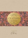 The Lost Sermons of C. H. Spurgeon Volume VII -- Collector's Edition: His Earliest Outlines and Sermons Between 1851 and 1854 - DUESING,  Jason G. - 9781087733760