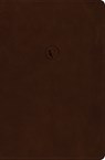 RVR 1960 Biblia de Estudio de Cesar Vidal, Cafe Simil Piel - César Vidal - 9781087771076