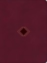 CSB DAY-BY-DAY CHRONOLOGICAL B - George H. Guthrie ; Csb Bibles By Holman - 9781087774374