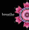 breathe - JONES,  Kim - 9781087885865