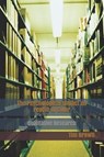 The Psychological Impact on People of Color: Qualitative Research - BROWN,  Tim - 9781096860662