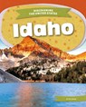 Idaho - Ib Larsen - 9781098293826