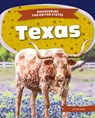 Texas - Mary Shaw - 9781098294144