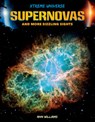 Supernovas and More Sizzling Sights - Ann Williams - 9781098295080