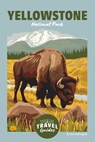 Yellowstone National Park - Tom Streissguth - 9781098297138